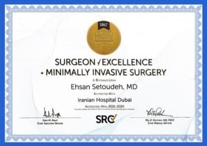 Surgeon Excellence Minimally Invasive Surgery
